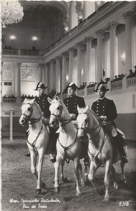 Tribute - Spanish Riding School in Florian (1940)